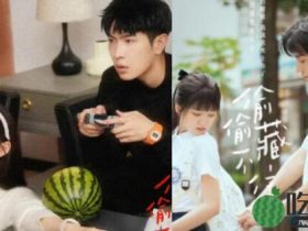 段嘉许桑稚新婚之夜完整版无删减的车第几章 段嘉许什么时候喜欢上桑稚的
