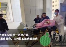 朵朵已成功转院？