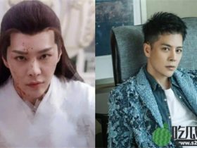 徐海乔整容失败了什么意思 徐海乔吴昕已领证8月份结婚了吗女朋友是谁