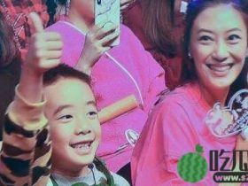 【热议】应采儿怀二胎？