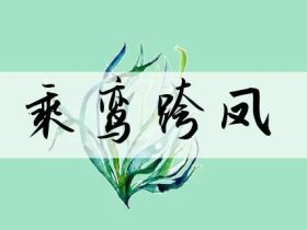 跨字组词大全 超全总结