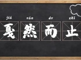 止字组词大全 超全总结