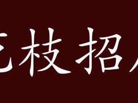 花字组词大全 超全总结