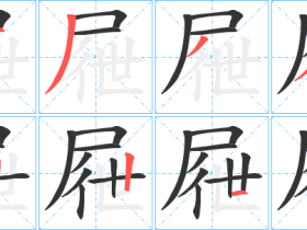 屉字组词大全 超全总结