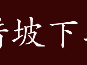 坡字组词大全 超全总结