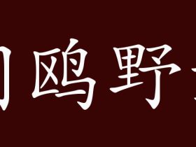 鹭字怎么组词:除了”白鹭“你还知道哪些