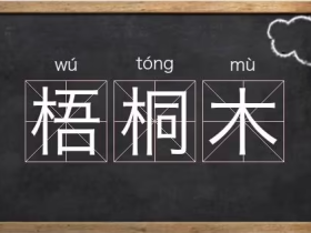 桐怎么组词 除了“梧桐”你还能想到其他的嘛