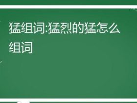 猛烈的猛组词大全