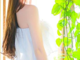 成语:枯枝败叶  拼音:kū zhī bài yè