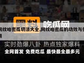 网纹哈密瓜切法大全,网纹哈密瓜的功效与作用