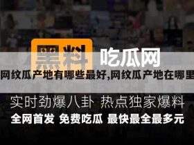 网纹瓜产地有哪些最好,网纹瓜产地在哪里