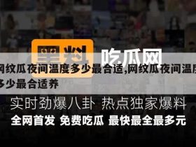 网纹瓜夜间温度多少最合适,网纹瓜夜间温度多少最合适养