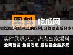 网纹甜瓜和哈密瓜的区别,网纹哈密瓜好吃吗