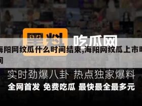 海阳网纹瓜什么时间结束,海阳网纹瓜上市时间