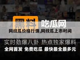 网纹瓜价格行情,网纹瓜上市时间