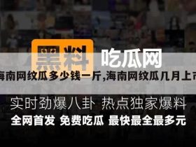 海南网纹瓜多少钱一斤,海南网纹瓜几月上市