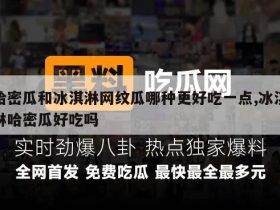 哈密瓜和冰淇淋网纹瓜哪种更好吃一点,冰淇淋哈密瓜好吃吗