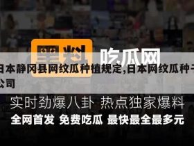 日本静冈县网纹瓜种植规定,日本网纹瓜种子公司