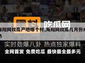 海阳网纹瓜产地哪个村,海阳网纹瓜几月份成熟