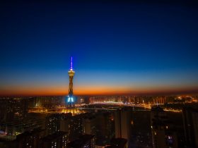 河南周口平坟事件,河南周口平坟事件真相