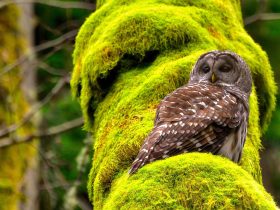 四月一日灵异事件,四月一日灵异事件簿图片
