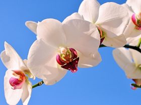 校园事件,校园事件最新新闻