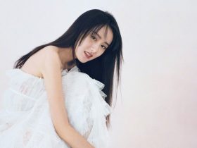 杨家将事件,杨家将事件真相