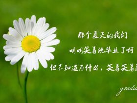 海贼王大事件,海贼王大事件集数表
