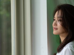 李易峰事件是怎么回事,李易峰事件是怎么回事啊