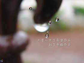 赵本山事件,2011年赵本山事件
