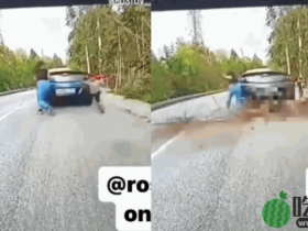 路过森林下车拍照竟遇塌树，5岁童闪避走错方向被重击死亡