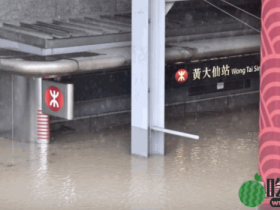 香港去年世纪暴雨爆发有因?联合国:亚洲去年全球气候受灾最严重
