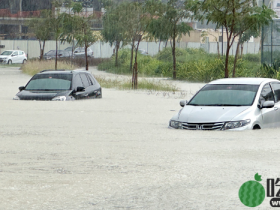 迪拜罕见淹了!1天降2年份雨,全球第2忙机场惨况曝