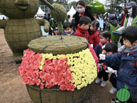 花展2024|逾千学生协助镶嵌大型花坛,4.4万株花打造童话故事“糖果屋”