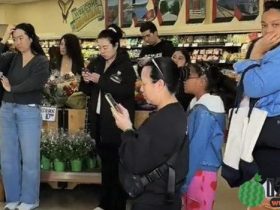 美国Trader Joe's环保袋爆抢购潮，2.99美元炒到上500美元