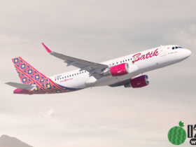 正副机师竟同时睡着!巴泽航空飞机惊险半小时“无人驾驶”