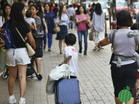 自由行︱西安、青岛今起纳入计划,酒店业料本月下旬起旅客增加