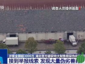 涉案金额超3000万！伪劣兽药是如何流向市场的？