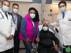 史上首例!基因改造猪肾脏成功移植人体,病人不再需要洗肾