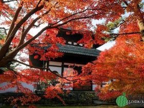 日本为何推行“国民收入倍增计划” 历史背景及起因