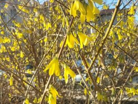 台退将：绿营一味挑衅徒增两岸危机 一个台湾都不能统治，何能治理大陆