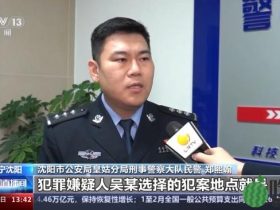 7个月“被撞”70回 辽宁一男子涉保险诈骗被刑拘