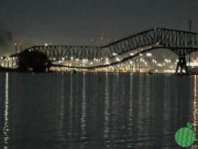 美国大桥坍塌 有危险品集装箱被破坏 损失或高达40亿美元