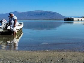 墨西哥沙滩现8具中国人尸体,地点为偷渡往美国常用路线