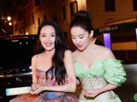 刘亦菲同框大14岁舒淇,“美女贴贴”神级合照曝光超养眼