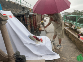 Beyond黄家驹墓被毁|深圳歌迷感痛心费解,冒雨献花致敬