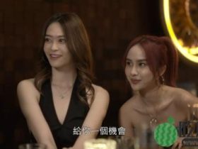 家族荣耀之继承者丨林峯“车震女”是选美亚军,这两美女混合体?