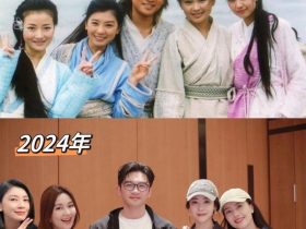 苏有朋时隔22年同框“倚天4美”,贾静雯缺席被P进照片