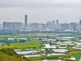 财政预算案2024 | 陈茂波:发债是借助市场资金投资过渡,以免阻慢北都发展计划