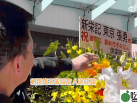王菲与谢霆锋被爆为一事共同署名?天后被捕获披头散发